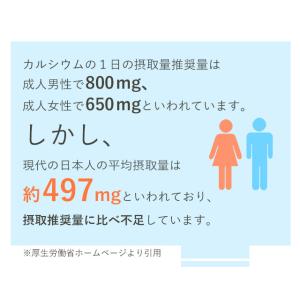 カルシウム (約6ヶ月分) サプリ カルシウム...の詳細画像5