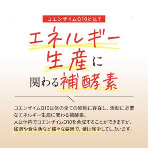 コエンザイムQ10 (約6ヶ月分)サプリメント...の詳細画像4
