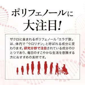 ザクロエキス & 大豆イソフラボン (約6ヶ月...の詳細画像4