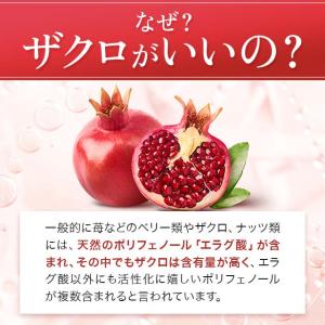 ザクロエキス & 大豆イソフラボン (約6ヶ月...の詳細画像5