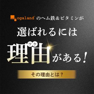 ヘム鉄&ビタミン(約6ヶ月分)サプリメント 鉄...の詳細画像4
