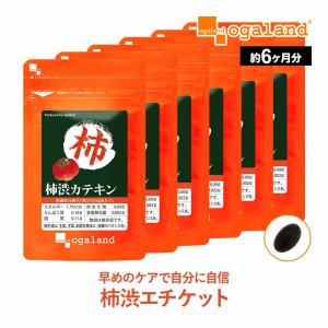 柿渋カテキン （約6ヶ月分） シャンプー や 石鹸 で有名な 柿渋 エチケット サプリ カテキン サプリメント タンニン リフレッシュ オリゴ糖 送料無料 半年分