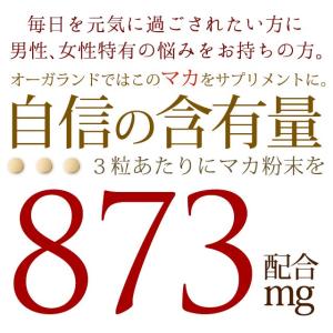 マカ粒 (約6ヶ月分) マカ サプリ サプリメ...の詳細画像3
