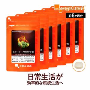 ルビーフィット 30包 ダイエットサプリメント : プライスラボ ヤフー店