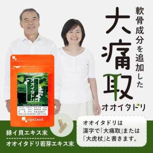 オオイタドリ (約6ヶ月分) サプリメント サ...の詳細画像3