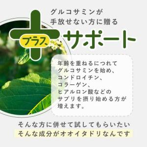 オオイタドリ (約6ヶ月分) サプリメント サ...の詳細画像4