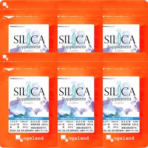 シリカサプリ 6ヶ月分 美容サプリの買取情報