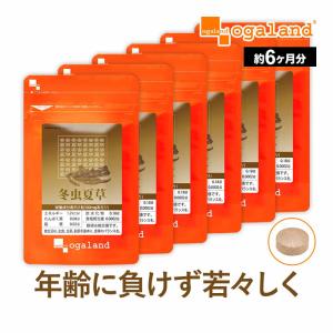 冬虫夏草 （約6ヶ月分） 賞味期限最短2025年3月末まで ミネラル ビタミン アミノ酸 サプリ サプリメント ダイエット  エイジングケア 健康食品 半年分 送料無料｜oga