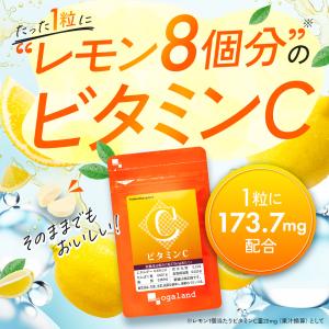 ビタミンC (約6ヶ月分) サプリ サプリメン...の詳細画像4