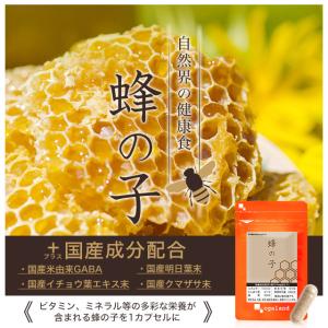 蜂の子 (約1ヶ月分) サプリ ローヤル ロイ...の詳細画像3