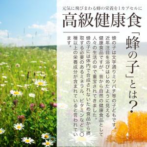 蜂の子 (約1ヶ月分) サプリ ローヤル ロイ...の詳細画像5