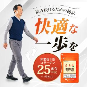 非変性II型コラーゲン(約3ヶ月分)新商品 コ...の詳細画像2