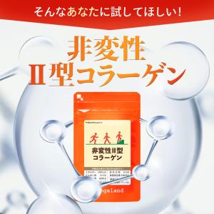 非変性II型コラーゲン(約3ヶ月分)新商品 コ...の詳細画像4