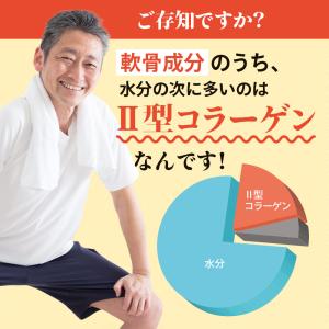 非変性II型コラーゲン(約3ヶ月分)新商品 コ...の詳細画像5