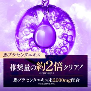 馬プラセンタ6000(約3ヶ月分) サプリ 馬...の詳細画像2