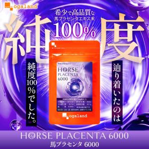 馬プラセンタ6000(約1ヶ月分)サプリ 馬 ...の詳細画像1