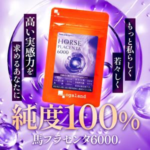馬プラセンタ6000(約1ヶ月分)サプリ 馬 ...の詳細画像5