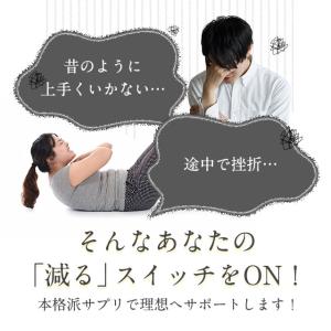 ヘルスイッチ (約3ヶ月分) BMI サプリ ...の詳細画像5