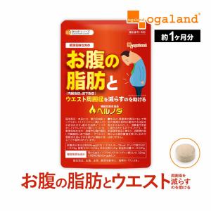 バディスリマ ダイエットサプリ 明治薬品 30日分 脂肪燃焼サポート