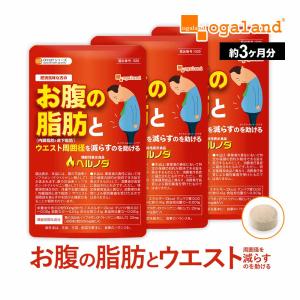 キラリズム スリリン ファイア SLILIN F 22.5g ( 250mg × 90粒 ) ZERO