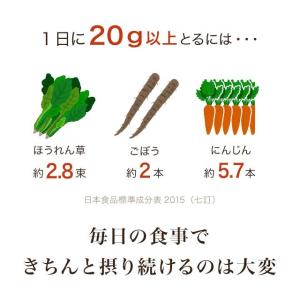 イヌリン (500g) ダイエット 食物繊維 ...の詳細画像5