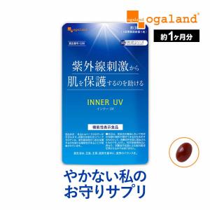 フォーデイズ 記憶の極み 90粒 (イチョウ葉抽出物含有加工食品)【機能