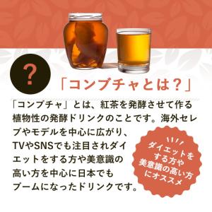 コンブチャ (約3ヶ月分) ダイエット 酵素 ...の詳細画像5