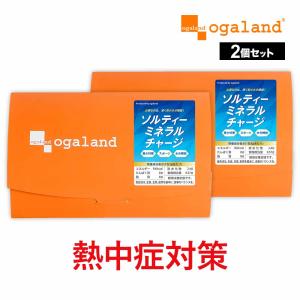 ソルティーミネラルチャージ（20包）【2個セット】熱中症 災害時 対策 個包装 スポーツ 水分補給 トレーニング クエン酸 パウダー食塩 人工甘味料 ポイント利用