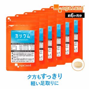 日本ベスト ラクトミニオンプレミアム 90ml (清涼飲料水) 乳酸菌生産