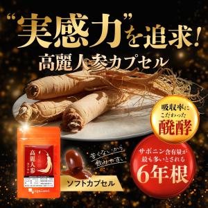 高麗人参カプセル (約1ヶ月分) サプリ サプ...の詳細画像4
