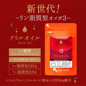 クリルオイル (約1ヶ月分) DHA EPA ...の詳細画像3