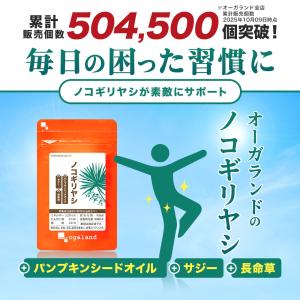 ノコギリヤシ(約3ヶ月分 )亜鉛 女性 男性 ...の詳細画像1