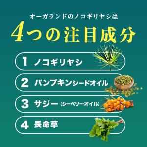 ノコギリヤシ(約3ヶ月分 )亜鉛 女性 男性 ...の詳細画像4