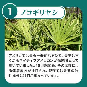 ノコギリヤシ(約3ヶ月分 )亜鉛 女性 男性 ...の詳細画像5