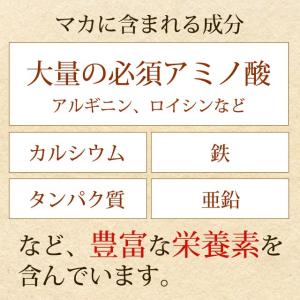 マカ サプリ 約1ヶ月分 亜鉛 マカ粒 サプリ...の詳細画像4