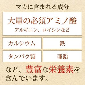 マカ粒 (約3ヶ月分) サプリ サプリメント亜...の詳細画像4