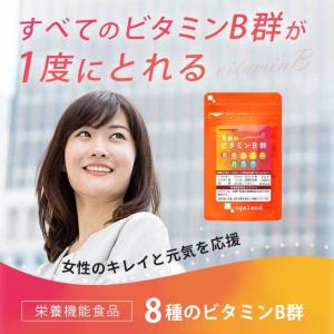 8種のビタミンB群 サプリ 約3ヶ月分 ビタミ...の詳細画像3