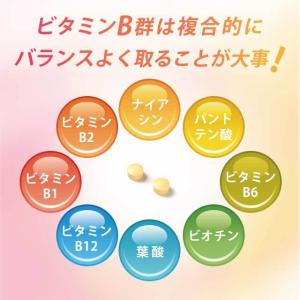 8種のビタミンB群 サプリ 約3ヶ月分 ビタミ...の詳細画像4