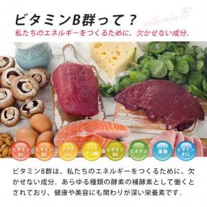 8種のビタミンB群 サプリ 約3ヶ月分 ビタミ...の詳細画像5