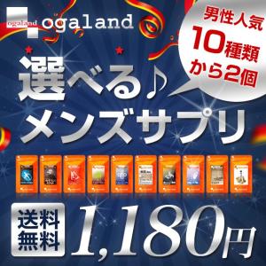 サプリメント 男性 人気 選べる サプリ 自分で作る 福袋 セール 送料無料