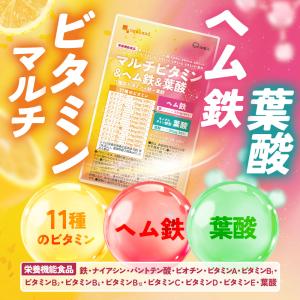 マルチビタミン&ヘム鉄&葉酸(約3ヶ月分)オー...の詳細画像2