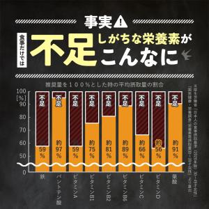 マルチビタミン&ヘム鉄&葉酸(約3ヶ月分)オー...の詳細画像3