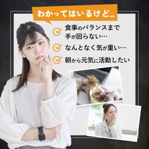 マルチビタミン&ヘム鉄&葉酸(約3ヶ月分)オー...の詳細画像4