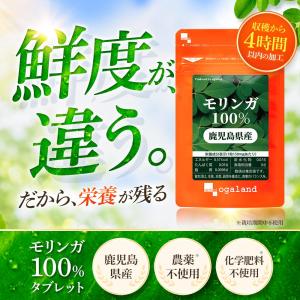 モリンガ サプリ モリンガ100%(約1ヶ月分...の詳細画像2