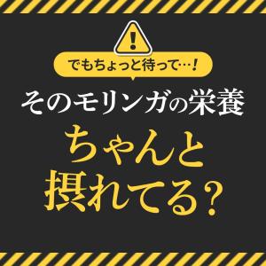 モリンガ サプリ モリンガ100%(約1ヶ月分...の詳細画像5