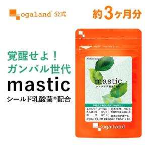 mastic シールド乳酸菌(R)配合 （約3ヶ月分） サプリ サプリメント マスティック 乳酸菌 食後 エチケット ビタミン 健康食品 森永乳業 送料無料 ポイント利用