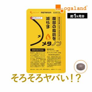 メタノン （約1ヶ月分） ブラックジンジャー 機能性表示食品 サプリ サプリメント ダイエット ビタミンB1 B2 B6 送料無料 BMI 脂肪を減らす L-カルニチン