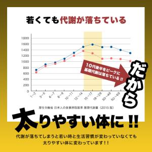 メタノン (約3ヶ月分) ブラックジンジャー ...の詳細画像5