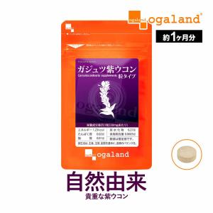 ガジュツ紫ウコン  うこん クルクミン サプリ サプリメント クルクメン 健康 美容 ダイエット お酒 のお供に シネオール エイジングケア アズレン