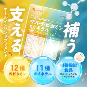 マルチビタミン & ミネラル (約1ヶ月分)ビ...の詳細画像3